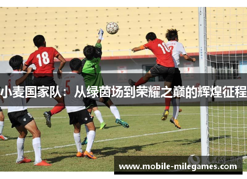 小麦国家队：从绿茵场到荣耀之巅的辉煌征程