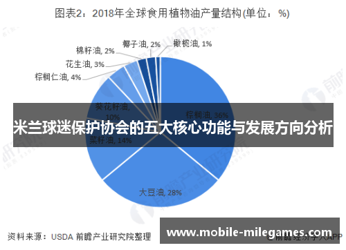 米兰球迷保护协会的五大核心功能与发展方向分析