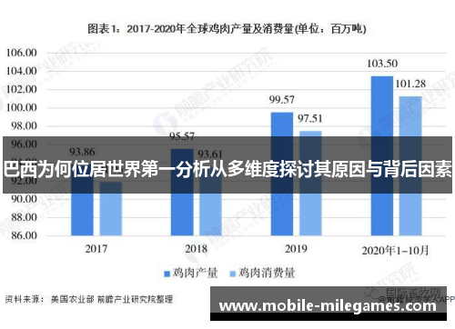 巴西为何位居世界第一分析从多维度探讨其原因与背后因素
