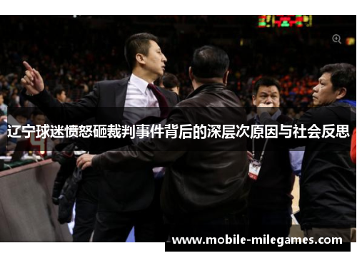 辽宁球迷愤怒砸裁判事件背后的深层次原因与社会反思 辽宁球迷愤怒砸裁判事件背后的深层次原因与社会反思
