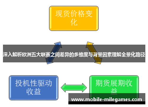 深入解析欧洲五大联赛之间差异的多维度与背景因素理解全景化路径