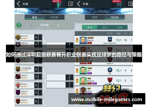 如何通过深圳超级联赛晋升职业联赛实现足球梦的路径与策略
